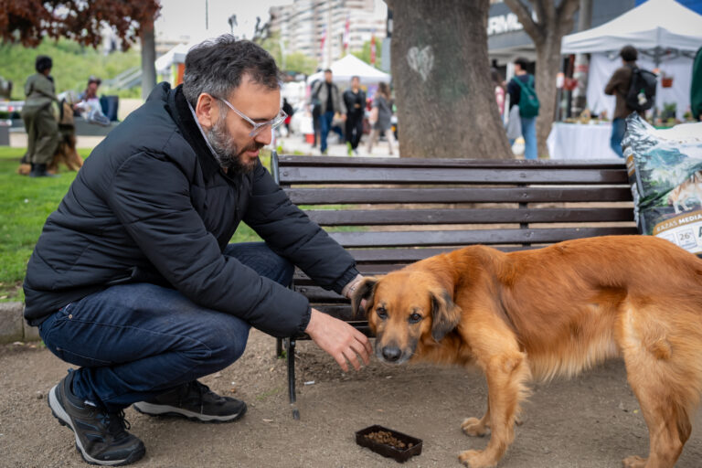Tomás de Rementería impulsa ley para permitir mascotas en buses Tomás de Rementería impulsa ley por mascotas en buses